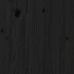 vidaXL - Schoenenkast - Zwart - Grenenhout