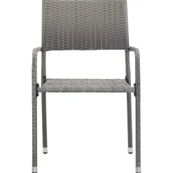 vidaXL - Stapelstoelen - Grijs - Poly rattan - 2 stuks