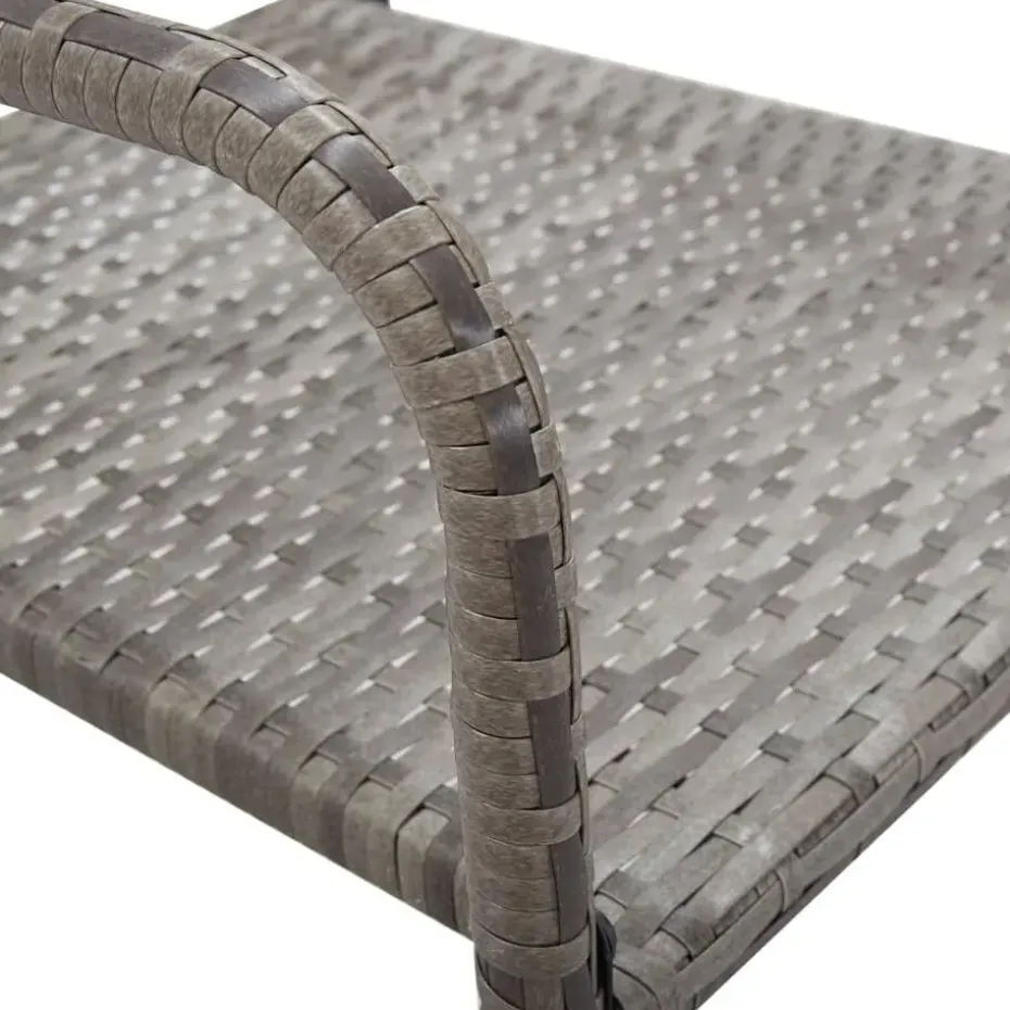 vidaXL - Stapelstoelen - Grijs - Poly rattan - 2 stuks