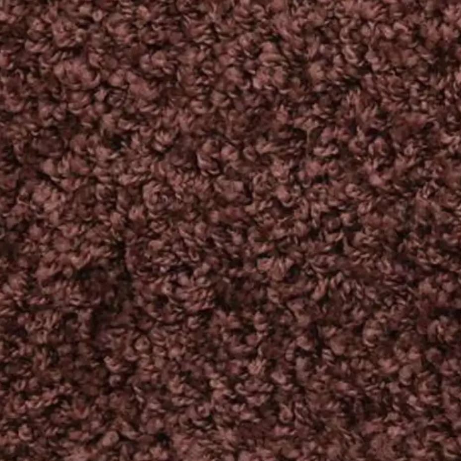 vidaXL - Tapijt Traptrede - Bruin - Polypropyleen