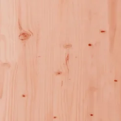 vidaXL - Tuinbank - Bruin - Douglashout