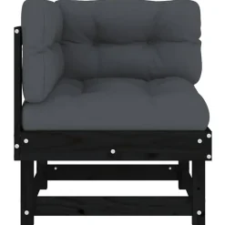 vidaXL - Tuinbank - Zwart - Grenenhout