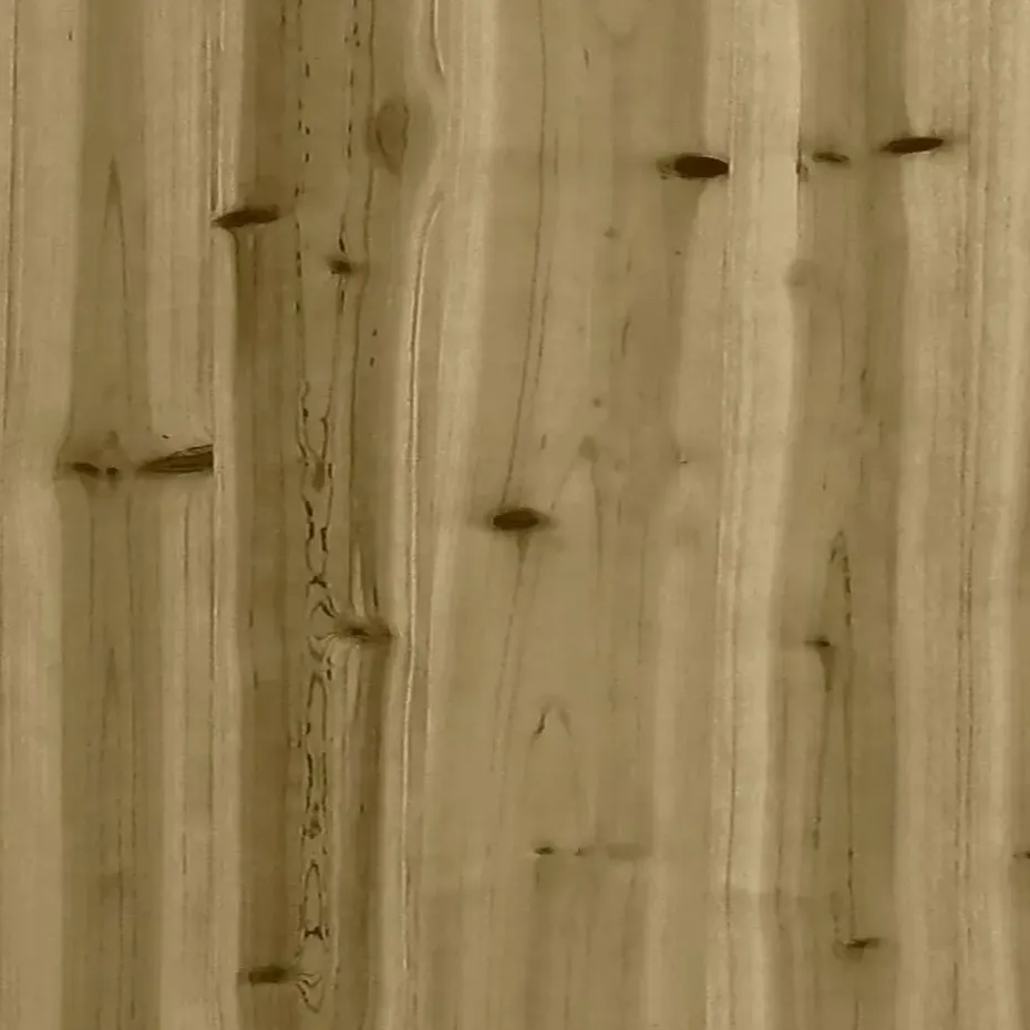 vidaXL - Tuinbank 2-zits - Bruin - Hout - Met kussens en voetenbank