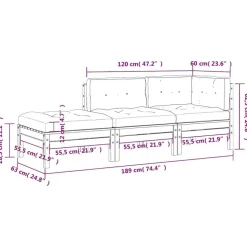 vidaXL - Tuinbank 2-zits - Bruin - Hout - Met kussens en voetenbank