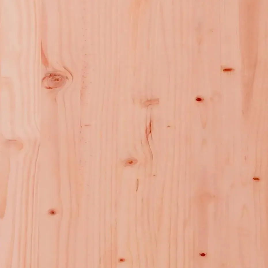 vidaXL - Tuinbank 2-zits - Bruin - Hout - Met kussens en voetenbank