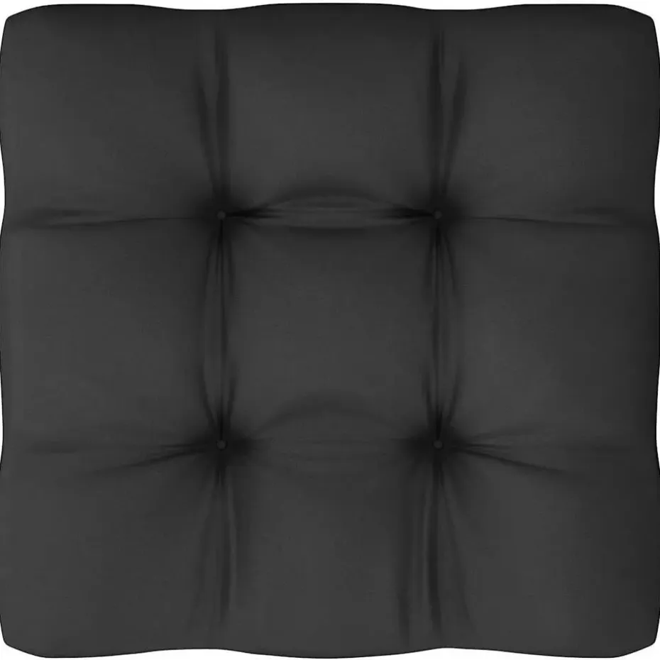 vidaXL - Tuinbank 2-zits - Zwart - Grenenhout - Met kussens