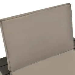 vidaXL - Tuinloungestoel - Antraciet - Kunststof