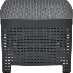 vidaXL - Tuinset - Antraciet - Kunststof