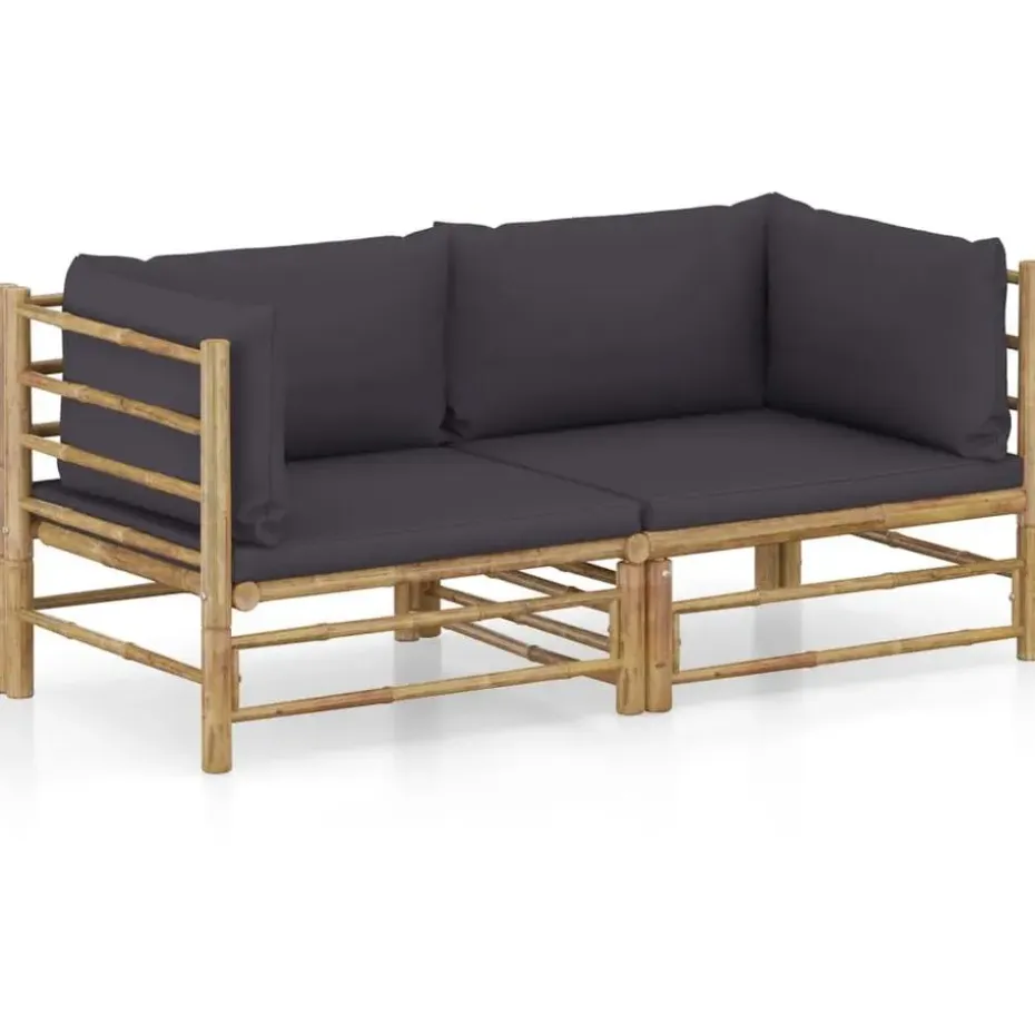 vidaXL - Tuinset - Grijs - Bamboe - 2 stuks - Met kussens