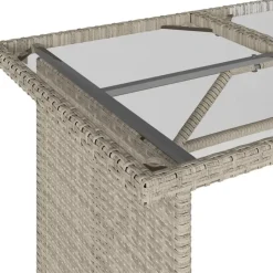 vidaXL - Tuinset - Grijs - Poly rattan