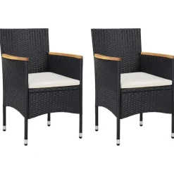 vidaXL - Tuinset - Zwart - Poly rattan