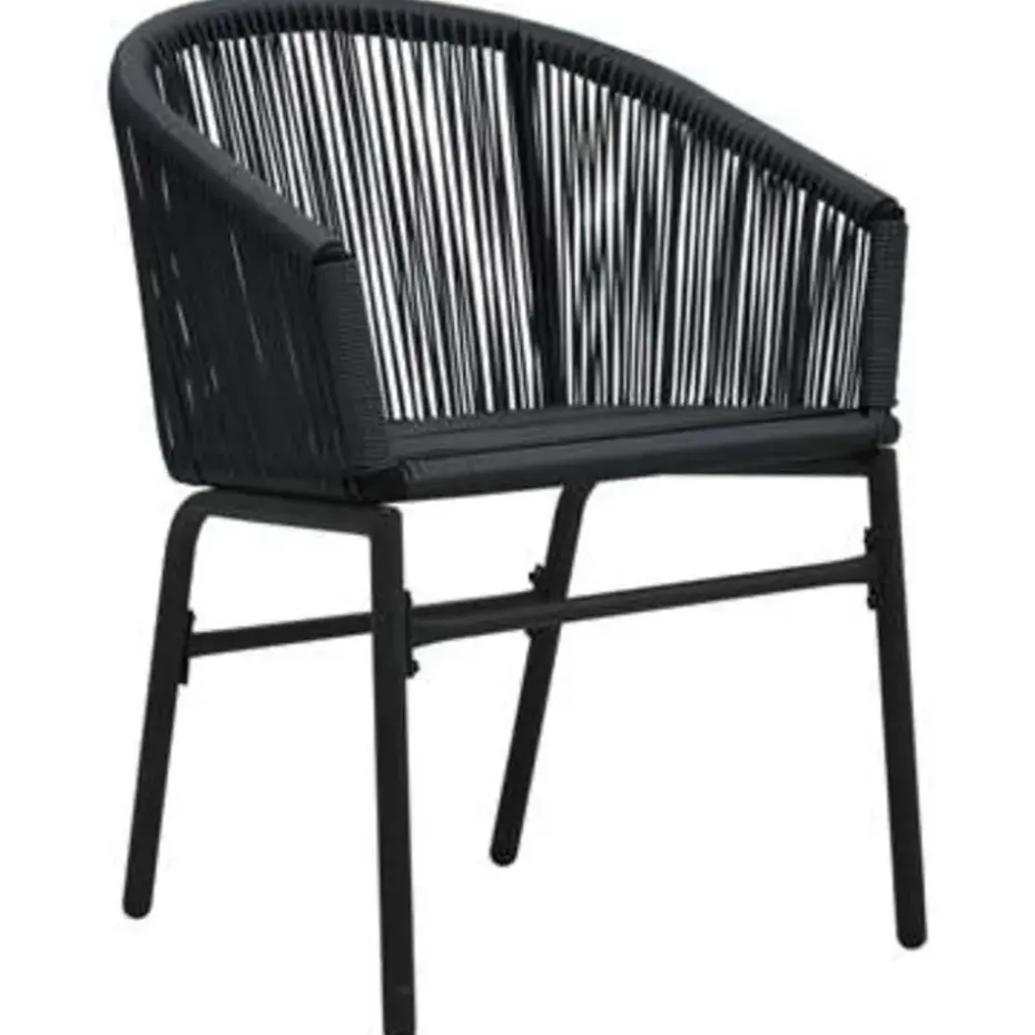 vidaXL - Tuinset - Zwart - Polyetheen