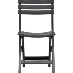 vidaXL - Tuinstoel - Antraciet - Kunststof - 2 stuks