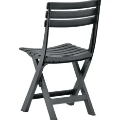 vidaXL - Tuinstoel - Antraciet - Kunststof - 2 stuks