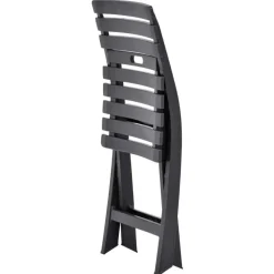 vidaXL - Tuinstoel - Antraciet - Kunststof - 2 stuks