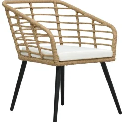 vidaXL - Tuinstoel - Bruin - Poly rattan - 2 stuks