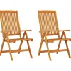 vidaXL - Tuinstoel - Bruin - Eucalyptushout - 2 stuks - Inklapbaar