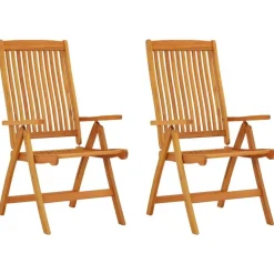 vidaXL - Tuinstoel - Bruin - Eucalyptushout - 2 stuks - Inklapbaar