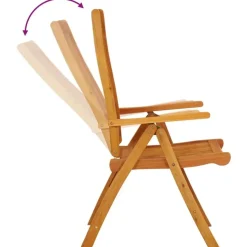 vidaXL - Tuinstoel - Bruin - Eucalyptushout - 2 stuks - Inklapbaar