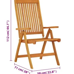 vidaXL - Tuinstoel - Bruin - Eucalyptushout - 2 stuks - Inklapbaar