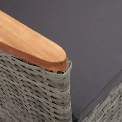 vidaXL - Tuinstoel - Grijs - Poly rattan - 2 stuks