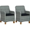 vidaXL - Tuinstoel - Grijs - Poly rattan - 2 stuks