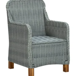 vidaXL - Tuinstoel - Grijs - Poly rattan - 2 stuks