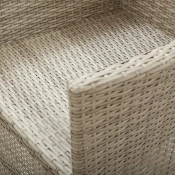 vidaXL - Tuinstoelen - Beige - Poly rattan - 2 stuks - Met kussens