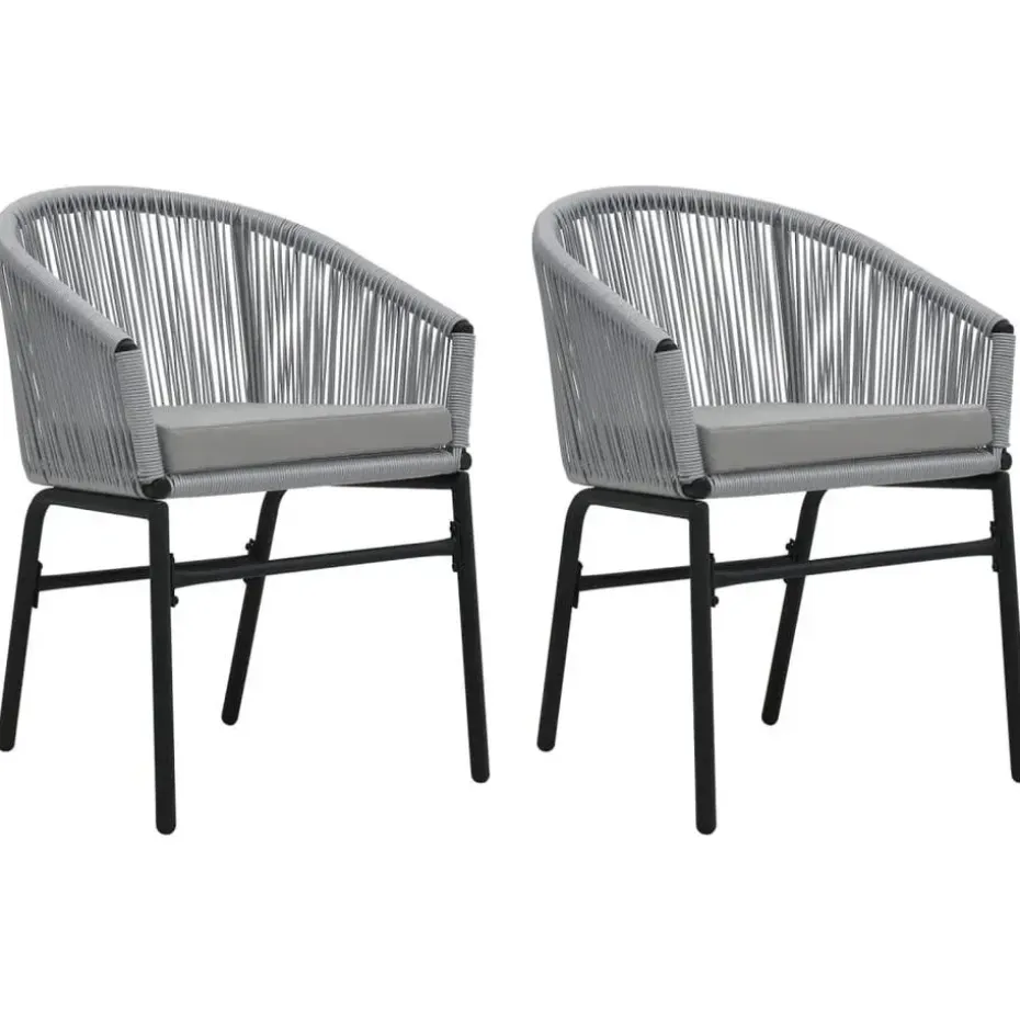 vidaXL - Tuinstoelen - Grijs - Polyetheen - 2 stuks