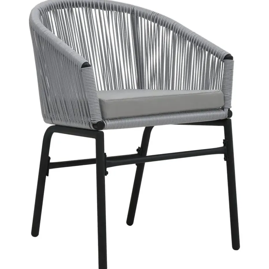 vidaXL - Tuinstoelen - Grijs - Polyetheen - 2 stuks