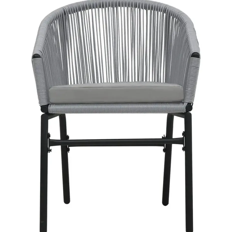 vidaXL - Tuinstoelen - Grijs - Polyetheen - 2 stuks