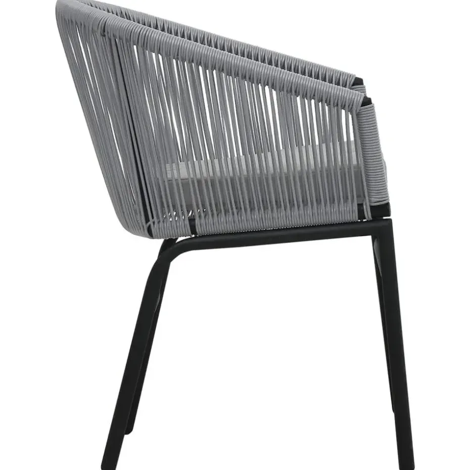 vidaXL - Tuinstoelen - Grijs - Polyetheen - 2 stuks