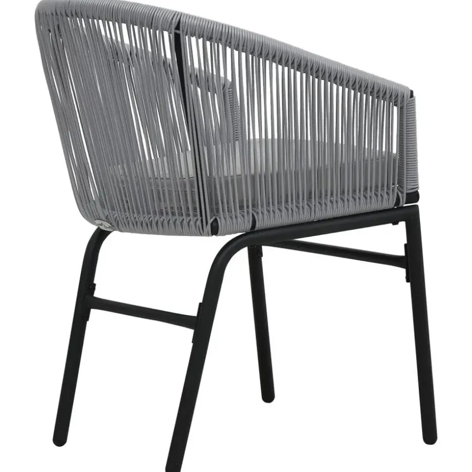 vidaXL - Tuinstoelen - Grijs - Polyetheen - 2 stuks