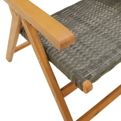 vidaXL - Tuinstoelen - Grijs - Acaciahout en poly rattan - 2 stuks