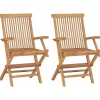 vidaXL - Tuinstoelen - Inklapbaar - Massief teakhout - 2 stuks