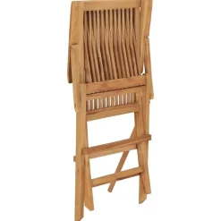 vidaXL - Tuinstoelen - Inklapbaar - Massief teakhout - 2 stuks