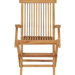 vidaXL - Tuinstoelen - Inklapbaar - Massief teakhout - 2 stuks