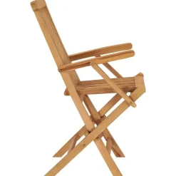 vidaXL - Tuinstoelen - Inklapbaar - Massief teakhout - 2 stuks