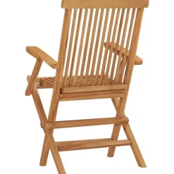 vidaXL - Tuinstoelen - Inklapbaar - Massief teakhout - 2 stuks