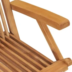 vidaXL - Tuinstoelen - Inklapbaar - Massief teakhout - 2 stuks