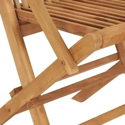 vidaXL - Tuinstoelen - Inklapbaar - Massief teakhout - 2 stuks