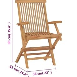 vidaXL - Tuinstoelen - Inklapbaar - Massief teakhout - 2 stuks
