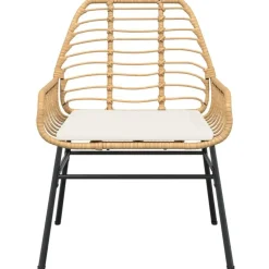 vidaXL - Tuinstoelen - Kussens - Bruin - Poly rattan - 2 stuks