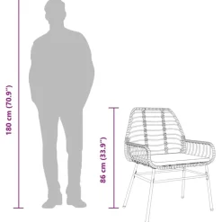 vidaXL - Tuinstoelen - Kussens - Bruin - Poly rattan - 2 stuks