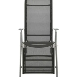 vidaXL - Tuinstoelen - Zilverkleurig - Aluminium - 2 stuks - Verstelbaar