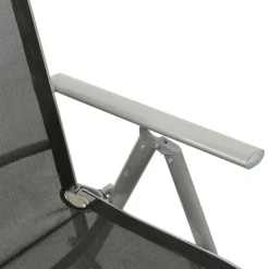 vidaXL - Tuinstoelen - Zilverkleurig - Aluminium - 2 stuks - Verstelbaar