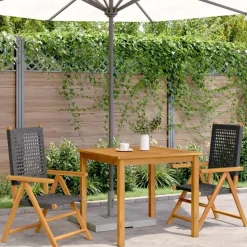 vidaXL - Tuinstoelen - Zwart - Acaciahout - 2 stuks - 57x70x109 cm