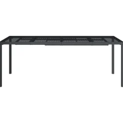 vidaXL - Tuintafel - Antraciet - Staal - 200 x 100 x 72 cm