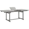 vidaXL - Tuintafel - Grijs - Massief acaciahout - (150-200)x100x75 cm