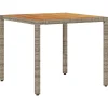 vidaXL - Tuintafel - Grijs - Poly rattan - 90 x 90 x 75 cm